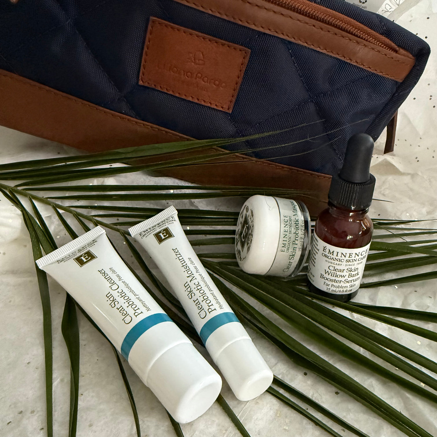 Valentine Travel Bag / Clear Skin Care starter kit